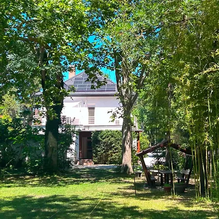 Honvéd N4. *
